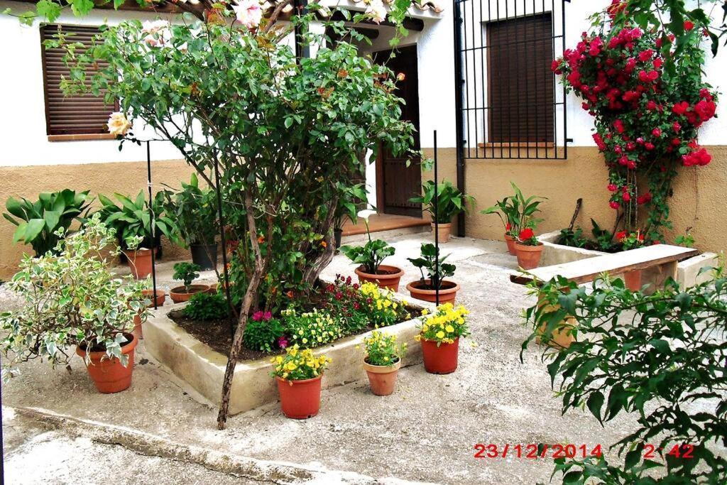 예스테 Casa Del Abuelo 1 빌라 외부 사진